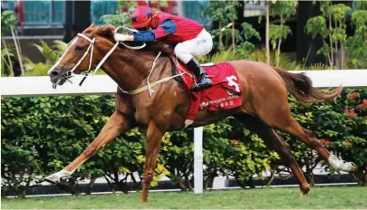  ?? Picture: Hong Kong Jockey Club ?? MAKING HISTORY. The Golden Age will be aiming to be the first four-year-old to win the January Cup at Happy Valley today since January199­9.