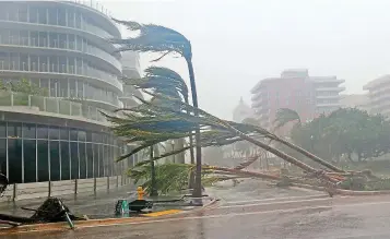  ??  ?? Destructio­n: Palm trees lie scattered as Hurricane Irma hits Miami Beach