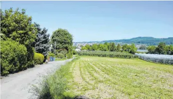  ?? FOTO: BRIGITTE WALTERS ?? Derzeit noch Ackerland und Obstwiese, demnächst sollen hier zwölf Wohnhäuser an der Straße „Torkelhald­en“in Riedheim entstehen.