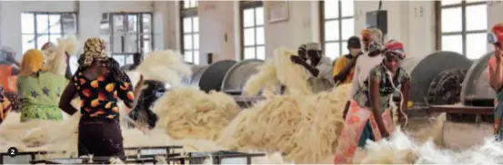  ??  ?? Workers at a sisal hemp processing factory in Tanzania. courtesy of Tang Xiaoyang 2 2