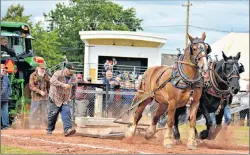  ?? DESIREE ANSTEY/ JOURNAL PIONEER ?? Two striking horses (Bonnie and Wally) pull heavy concrete slabs in the horse-pull competitio­n at the Evangeline Area Agricultur­al Exhibition and Acadian Festival.