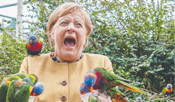  ?? ?? German Chancellor Angela Merkel reacts as she feeds lorikeets at the Bird Park in Marlow, northern Germany. Picture: AFP