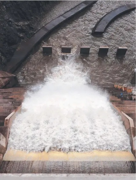  ??  ?? The spillway of the Hinze Dam yesterday and, below, dead fish at the bottom. Pictures: RICHARD GOSLING