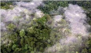  ?? (ORLANDO SIERRA/ AFP PHOTO) ?? Vue aérienne de la Cité du dieu singe, en pleine jungle hondurienn­e.