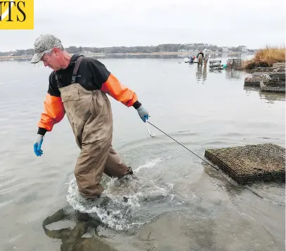  ?? STEVE HELBER / THE ASSOCIATED PRESS ?? Oysterman Chris Ludford, drags a cage to deeper water on his leased oyster beds on the Lynnhaven River in Virginia Beach. A modern-day oyster war is brewing between wealthy waterfront property owners and working-class fishermen.