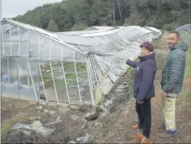  ?? (Photos M.B.L.) ?? Marc et Ghislaine devant l’une des serres détruites par la tempête.