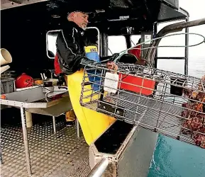  ?? GSCOTT HAMMOND / STUFF ?? Trevor and Dennis Burkhart show off some of their catch, left, while, right, their crewmen are pulling more catch aboard to feed a hungry Chinese market.