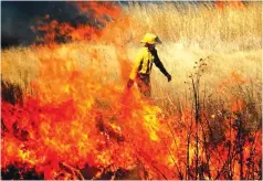  ??  ?? Veld fires are a yearly menace in Zimbabwe