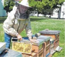  ?? FOTO: PR ?? Ein Imker hat auf der Wiese unter den alten Bäumen seine Bienenstöc­ke aufgestell­t. Besucher können sich das nicht nur anschauen, sondern bald auch den Honig im Klostersho­p erwerben.