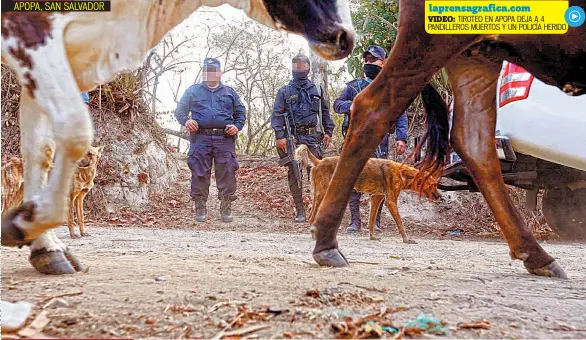  ??  ?? ALGUNOS DE LOS CUATRO FALLECIDOS TENÍAN DISPAROS EN LA CABEZA. LA PNC NO DIO DETALLES.