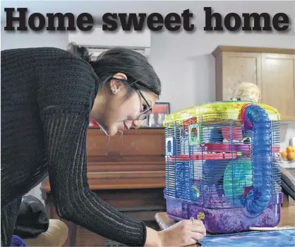  ?? ALISON JENKINS/JOURNAL PIONEER ?? Kelly Sark checks in on the family's pet hamsters. Sark, her kids, and her pets recently moved into their home on Lennox Island. The house was built by Habitat for Humanity.