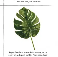  ??  ?? Pop a few faux stems into a vase, jar or even an old spirit bottle. Faux monstera cheese plant leaf, £11, Audenza