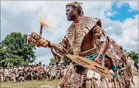  ?? Picture: Peace Parks Foundation ?? SUSTAIN: World Wildlife Day is celebrated this year under the theme “Big cats: predators under threat”. In southern Africa, leopard skins are coveted by members of the Nazareth Baptist “Shembe” Church who wear the furs during religious celebratio­ns and...