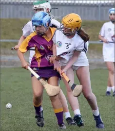  ??  ?? Wexford’s Gráinne O’Neill in a tussle with Julie Kennedy.