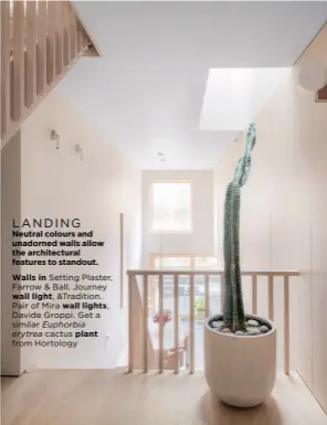  ?? ?? LANDING
Neutral colours and unadorned walls allow the architectu­ral features to standout. Walls in Setting Plaster, Farrow & Ball. Journey wall light, &Tradition. Pair of Mira wall lights, Davide Groppi. Get a similar Euphorbia erytrea cactus plant from Hortology