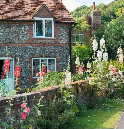  ??  ?? An English cottage garden, where hollyhocks have self-seeded on the other side of the boundary wall.