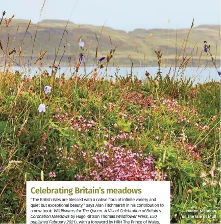  ??  ?? Haunn Meadow on the Isle of Mull