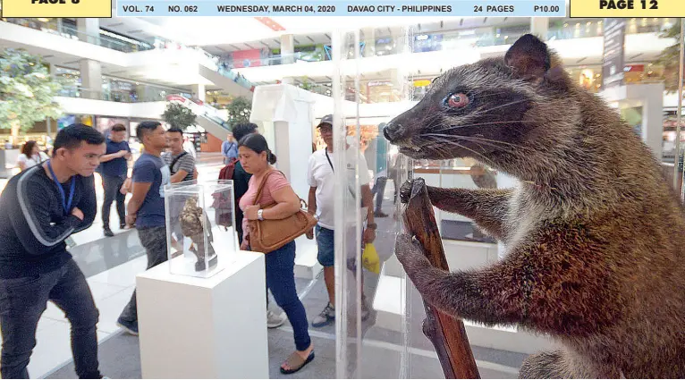  ??  ?? SHOPPERS view the stuffed wildlife species displayed at the exhibit dubbed Wildlife is Here 2020 as part of public awareness on environmen­tal conservati­on. Spearheade­d by Philippine Eagle Foundation, the event will run from March 3-8 at the atrium of SM Lanang Premier. BING GONZALES