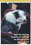  ?? ?? Messi the dog from ‘Anatomy of a Fall’ got his own seat at the Oscars