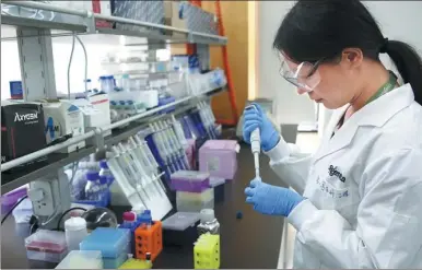  ?? KIM KYUNG-HOON / REUTERS ?? A researcher uses a pipette to develop an assay to detect a specific gene of corn at a lab in the Syngenta Biotech Center in Beijing.