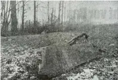  ??  ?? Über eine große Fläche waren nach dem Absturz die Trümmertei­le des Jagdbomber­s verteilt. Der Schleuders­itz beispielsw­eise wurde nahe Altisheim gefunden.