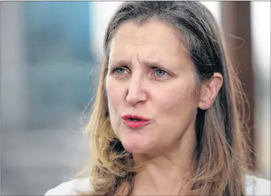  ?? CP PHOTO ?? Minister of Foreign Affairs Chrystia Freeland speaks to media on the roof of the Panamerica­no Hotel in Buenos Aires, Argentina, on Thursday, to attend the G20 Summit.