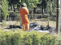  ?? PHOTO: ADAM BURNS ?? Burnt remains . . . Fire crews in Alexandra check the scene after a fire that was caused by a tree falling on to a power line near Jolendale Park earlier this month. Aurora Energy is now looking at the design of the line that goes through the park to reduce future fire risk.