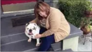  ?? SOLVEJ SCHOU VIA AP ?? This photo provided by Solvej Schou shows 6-year-old bulldog Buddy and his owner Lisha Gonzalez, 56, in Pasadena Buddy is owned by Lisha and her husband Victor Gonzalez.