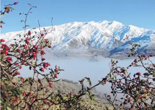  ?? PHOTO: MARK PRICE ?? Looking ahead . . . The view towards Cardrona Alpine Resort, including loweraltit­ude land subject to an Environmen­t Court appeal.