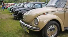  ?? FOTO: TANJA PICKARTZ ?? Rund 250 historisch­e VW Käfer reisten zum Treffen an den Toeppersee an.