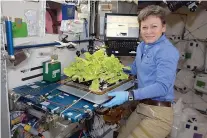  ?? NASA via AP ?? n In this image posted to her Twitter feed on May 30, astronaut Peggy Whitson holds up Chinese cabbage grown in the Internatio­nal Space Station. During her third and latest mission, which began November 2016, the 57-year-old biochemist became the...