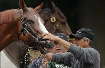  ?? Julie Jacobson ?? The Associated Press Triple Crown hopeful Justify is bathed by Carlos Martin after a workout Thursday at Belmont Park in Elmont, N.Y. Justify will try to become the 13th Triple Crown winner when he races in the 150th running of the Belmont Stakes.