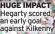  ?? ?? HUGE IMPACT Hegarty scored an early goal against Kilkenny