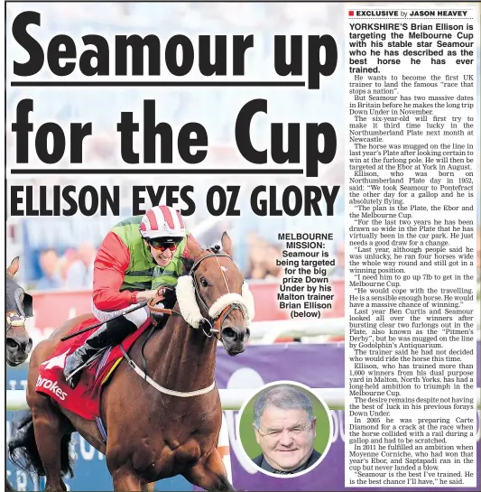  ??  ?? MELBOURNE MISSION: Seamour is being targeted for the big prize Down Under by his Malton trainer Brian Ellison (below) YORKSHIRE’S Brian Ellison is targeting the Melbourne Cup with his stable star Seamour who he has described as the best horse he has...