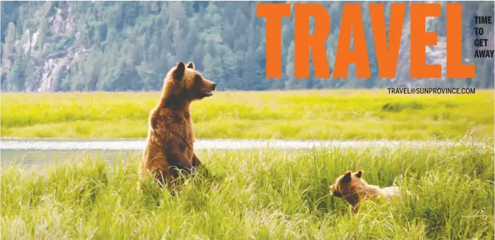  ?? MARK SISSONS ?? A mother grizzly and her cub graze on the shoreline sedges of Khutze Inlet, midway along the Great Bear Rainforest coast.