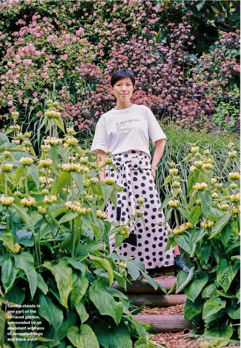  ??  ?? Sandra stands in one part of the terraced garden, surrounded by an abundant wildness of Jerusalem sage and black elder