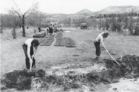  ??  ?? Irwin Klein: Making adobe bricks at Mora; opposite page, Bride and groom Mary Mitchell Gordon and Robbie Gordon at Arroyo Hondo; all photos courtesy the Irwin B. Klein Estate