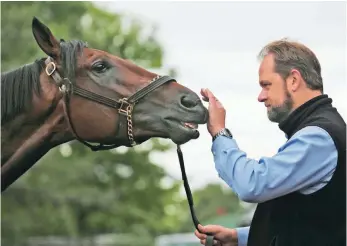  ?? PAT MCDONOGH, THE (LOUISVILLE) COURIER-JOURNAL ?? Nyquist, with trainer Doug O’Neill, has won all of his starts and is the Kentucky Derby favorite.