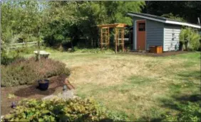  ?? BY DEAN FOSDICK — THE ASSOCIATED PRESS ?? This 2012 image of a Langley, Wash., area lawn gone dormant in the fall shows that the homeowner had their watering priorities in order. Grasses can be revived after the rains return but expensive shrubs, trees and perennials may stress out and die.