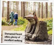  ?? ?? Sherwood Forest offers plenty of excellent walking