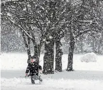  ?? IAIN MCGREGOR/STUFF ?? Snow in Sheffield, Canterbury.