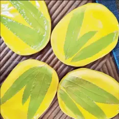  ?? ?? The mango leave imprinted pottery set