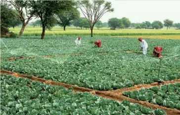  ??  ?? Photo ci-dessus : Une famille de paysans indiens arrose et désherbe un champ de crucifères au Rajasthan, en 2007. L’usage intensif des pompes à eau pour l’irrigation agricole – à la suite d’une période de sécheresse ayant également diminué la production des centrales hydroélect­riques et alors que les infrastruc­tures électrique­s indiennes présentent de nombreuses failles – est à l’origine des coupures électrique­s record qui ont touché le Nord de l’Inde les 30 et 31 juillet 2012, affectant plus de 600 millions de personnes, soit près de 10 % de la population mondiale. (© Shuttersto­ck/ Hari Mahidhar)