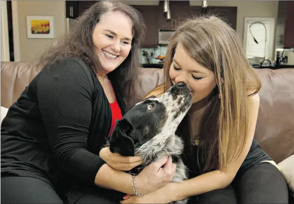  ?? Jason Franson, The Journal ?? Mary Gainor, left, and Amanda Woytenko snuggle with Buddy, a border collie-australian shepherd cross. Buddy is a dog’s dog
and bears the most popular name among the city’s licensed canines.