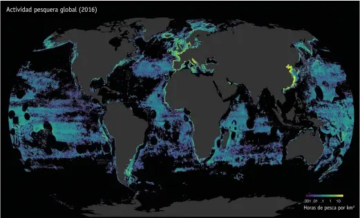 ??  ?? Horas de pesca por km2 Actividad pesquera global (2016) En más del 55 % de la superficie de los océanos del planeta se desarrolla pesca industrial, lo que equivale a más de cuatro veces el área terrestre dedicada a la agricultur­a.