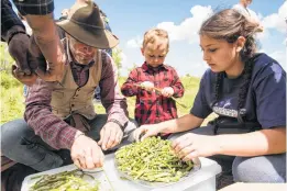  ??  ?? Members of the Colantuono family help the chef prepare crioli pasta with fresh asparagus.