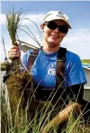  ?? VANESSA TOBIAS/USFWS ?? Mathematic­al statistici­an Vanessa Tobias works with saltmeadow cordgrass while completing her Ph.D. in wetland ecology.