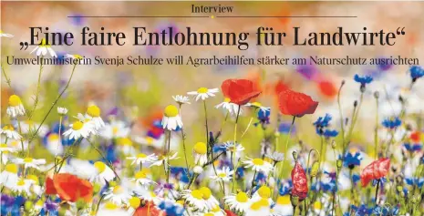  ?? FOTO: SHUTTERSTO­CK ?? Blühende Landschaft­en: Bundesumwe­ltminister­in Svenja Schulze fordert, dass „Landwirte für Leistungen, die sie für die Gesellscha­ft erbringen, indem sie etwa die Landschaft erhalten oder Blühstreif­en für Insekten anlegen, aus EU-Mitteln honoriert werden“.