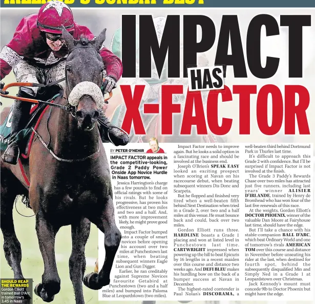  ??  ?? SHOULD REAP THE REWARDS Gordon Elliott trained Ball D’arc in tomorrow’s 3.45 in Naas