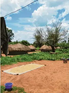  ?? Fotos: Francesca Cyris ?? Das Leben im Dorf Alenga ist einfach: Die Hütten sind aus Lehm und haben ein Stroh dach. Im Hof werden Lebensmitt­el in der Sonne getrocknet.
